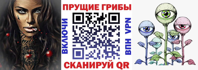 Галлюциногенные грибы прущие грибы  Берёзовка 