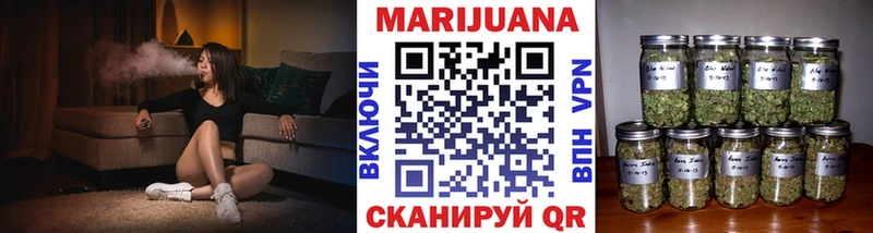 Бошки Шишки план Берёзовка